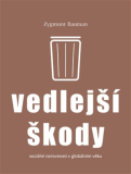 Vedlejší škody